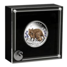 Picture of 2022 1oz Quokka Coloured Silver Proof Coin in Presentation Box